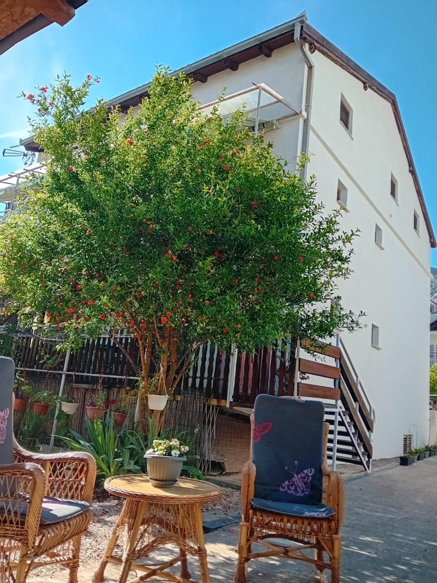 Apartments Vidic Orebić Εξωτερικό φωτογραφία